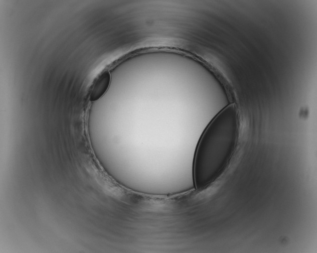 X0000116010781200911191236