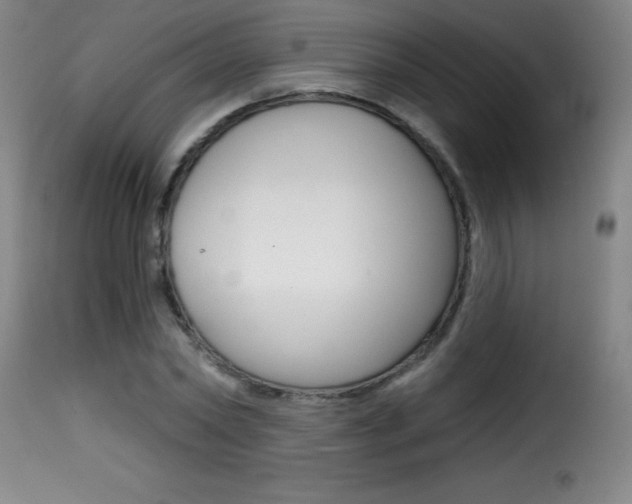 X0000116010782200911191236