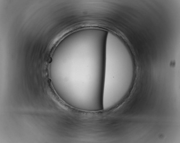 X0000116010786200911191236