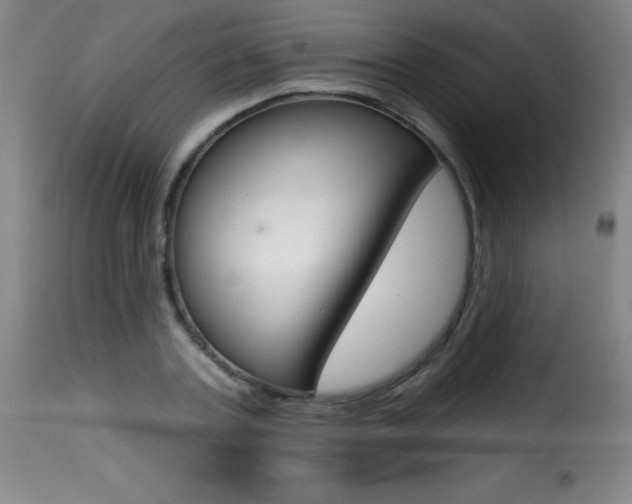 X0000116010787200911191236