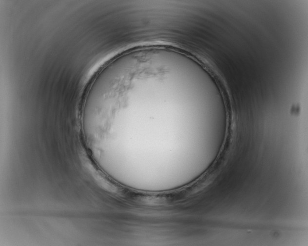 X0000116010789200911191236