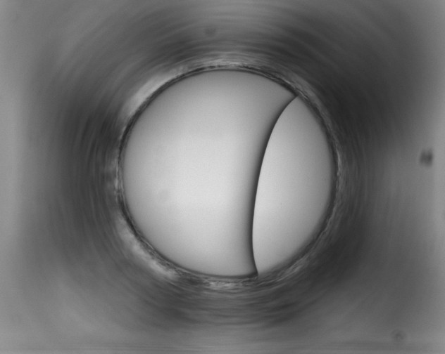 X0000116010794200911191236