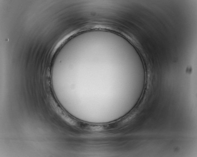 X0000116010798200911191236