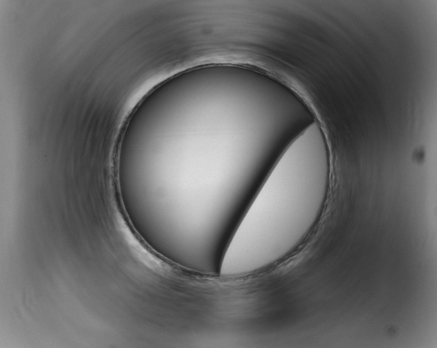 X0000116010803200911191236