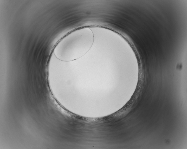 X0000116010807200911191236