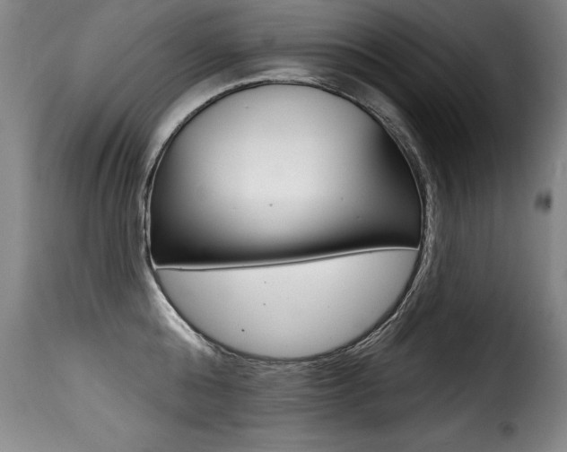 X0000116010808200911191236
