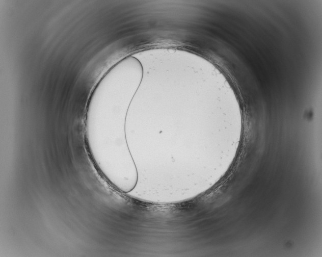 X0000116010810200911191236