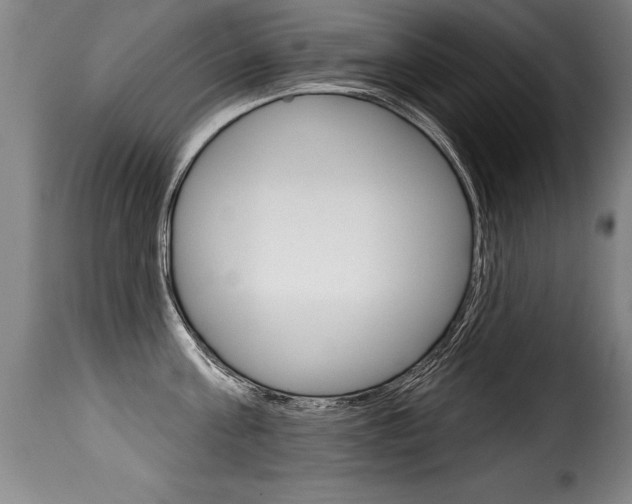 X0000116010811200911191236