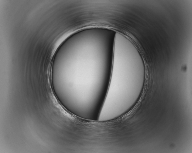 X0000116010812200911191236