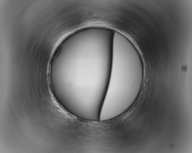 X0000116010815200911191236