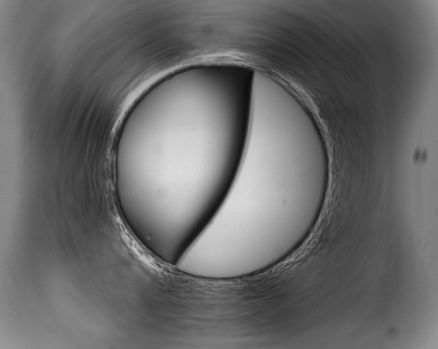 X0000116010816200911191236