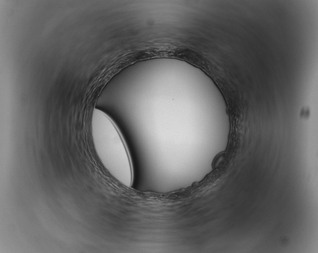 X0000116010818200911191235