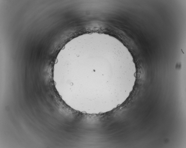 X0000116010820200911191235