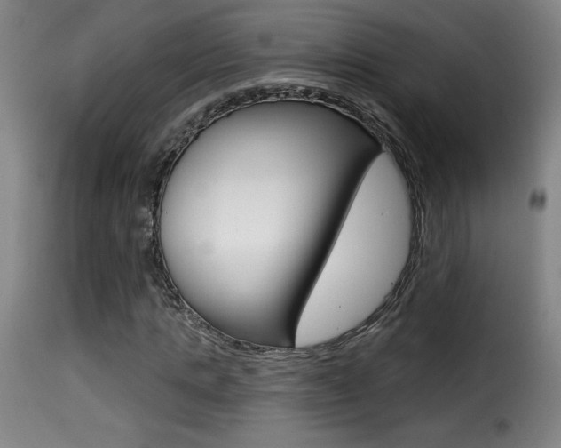 X0000116010821200911191235