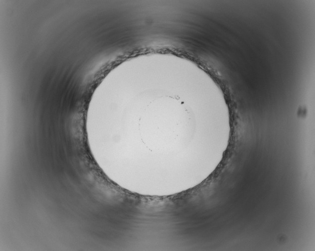 X0000116010824200911191235