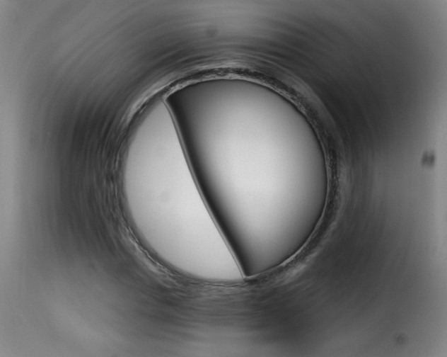 X0000116010826200911191235