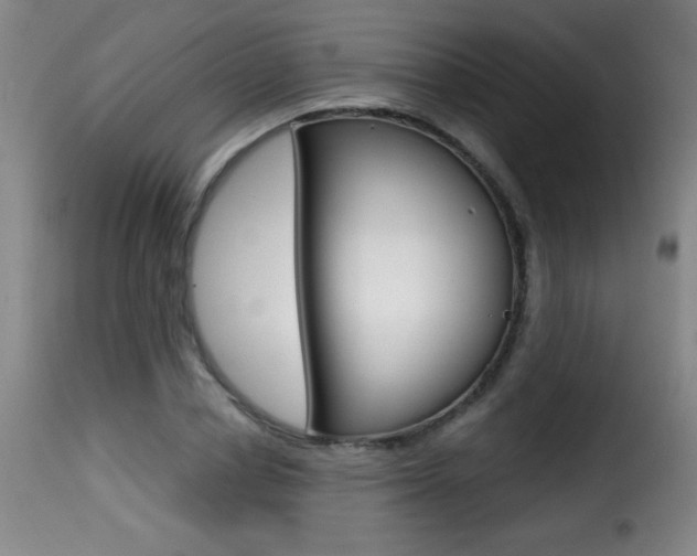 X0000116010834200911191235