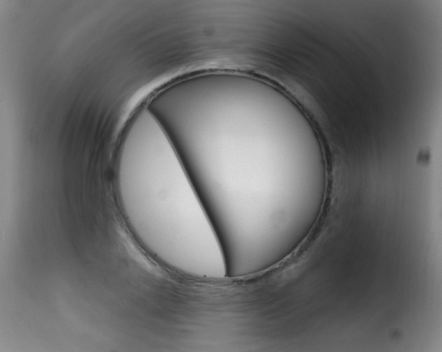 X0000116010838200911191235