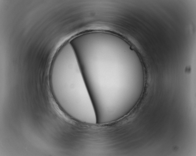 X0000116010840200911191235