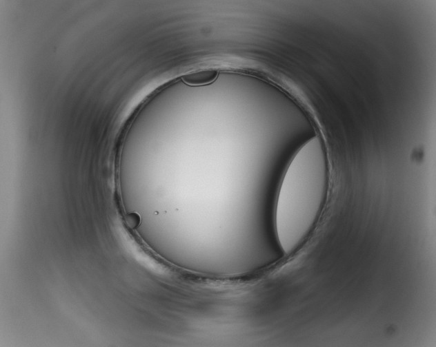 X0000116010843200911191235