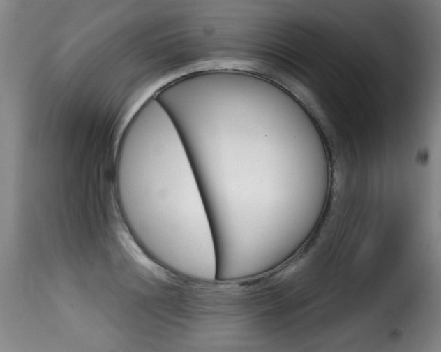 X0000116010844200911191235