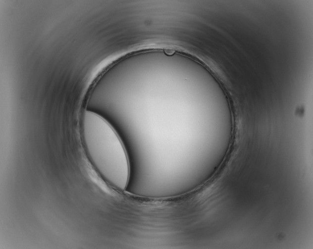 X0000116010846200911191236