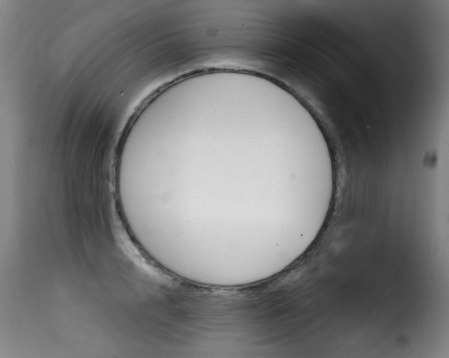 X0000116010848200911191236