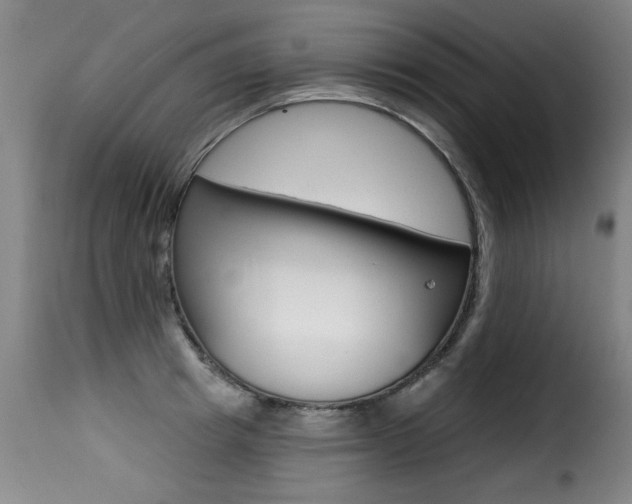 X0000116010849200911191236