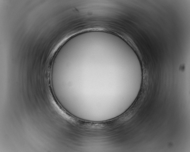 X0000116010851200911191236