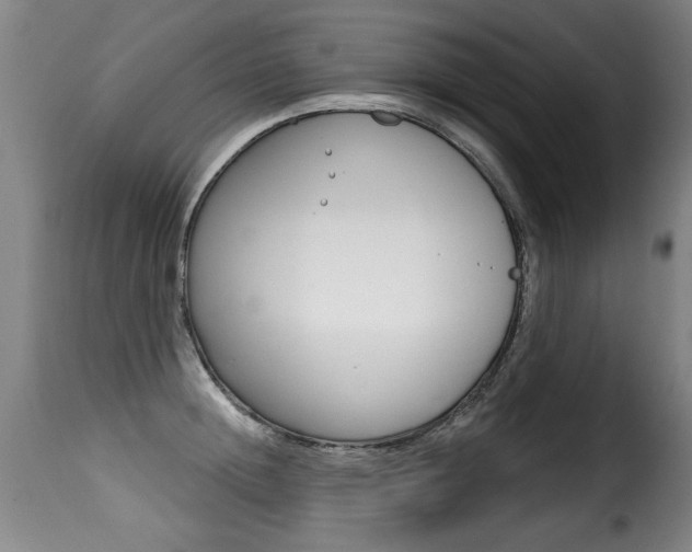 X0000116010852200911191236