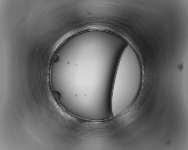X0000116010853200911191236