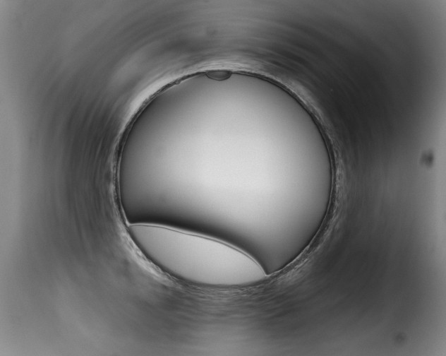 X0000116010854200911191236