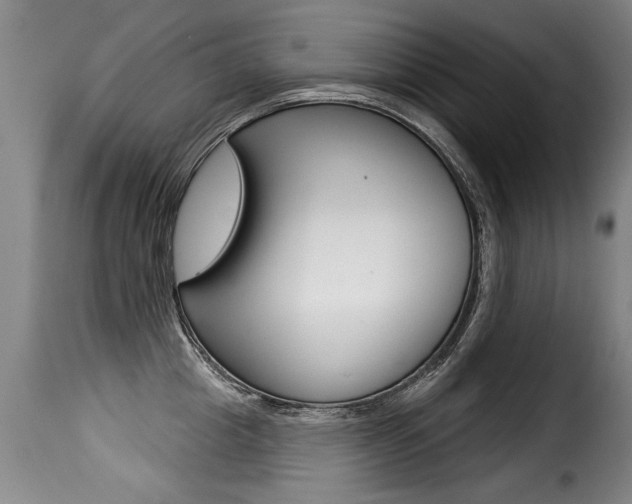 X0000116010857200911191236