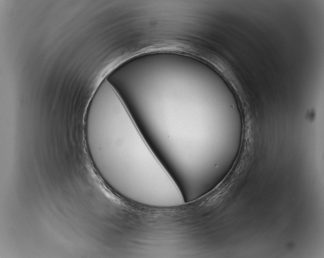 X0000116010858200911191236