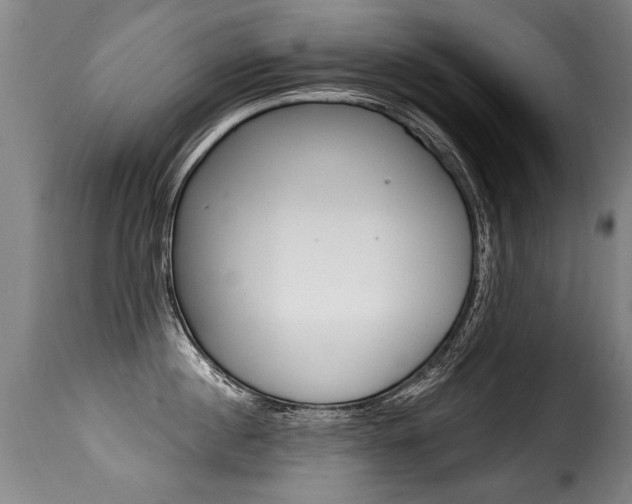 X0000116010860200911191236