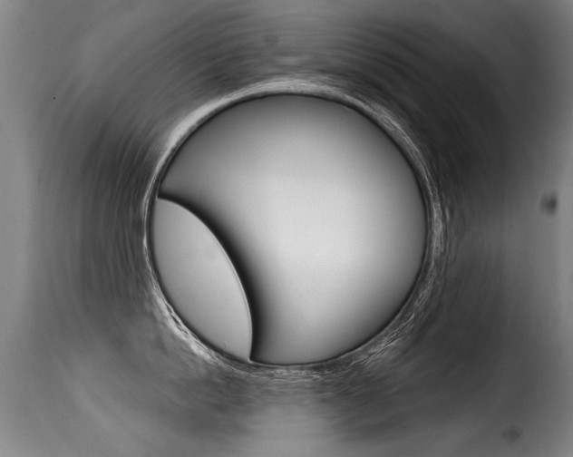 X0000116010862200911191236
