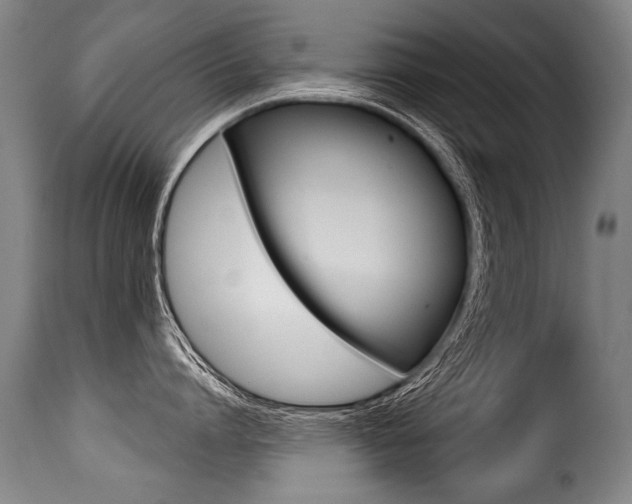 X0000116010864200911191236