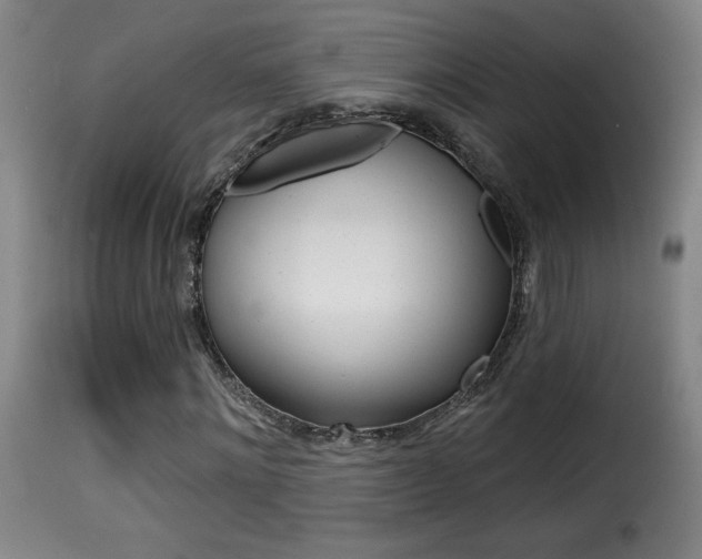 X0000116010868200911191235