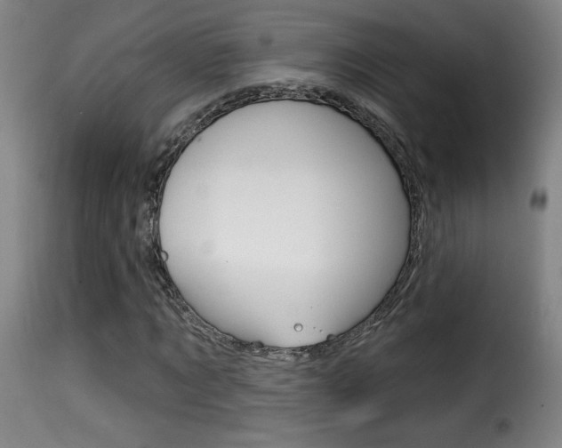 X0000116010869200911191235