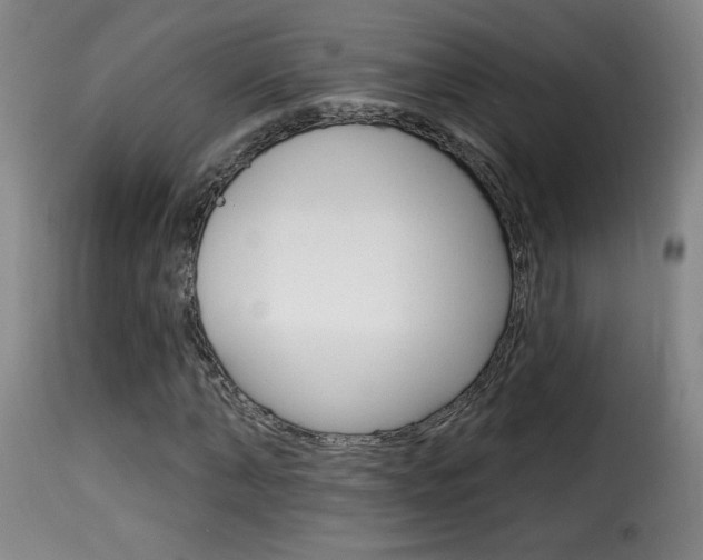X0000116010870200911191235