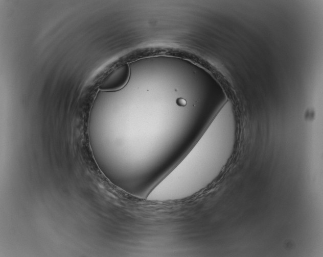 X0000116010872200911191235