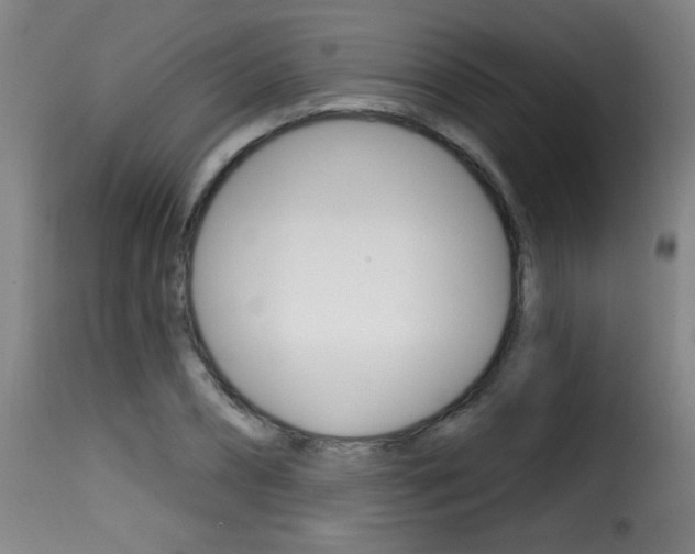 X0000116010882200911191235
