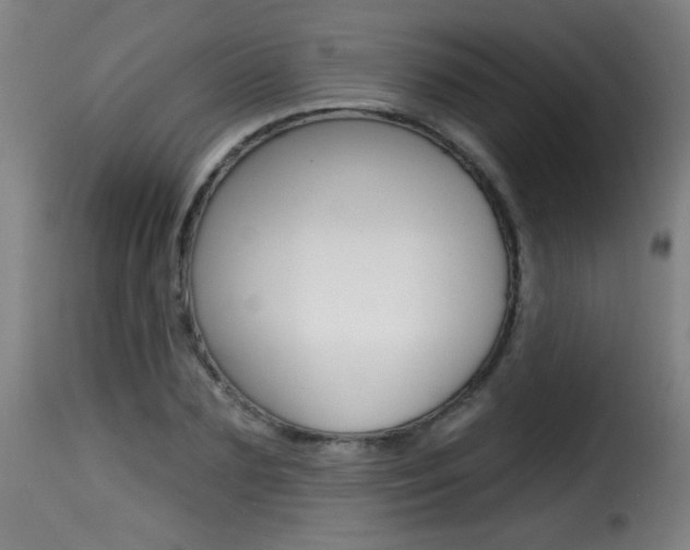X0000116010883200911191235
