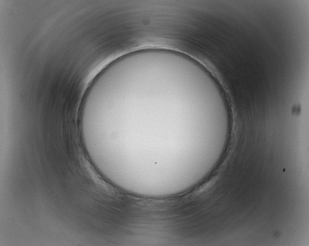X0000116010885200911191235