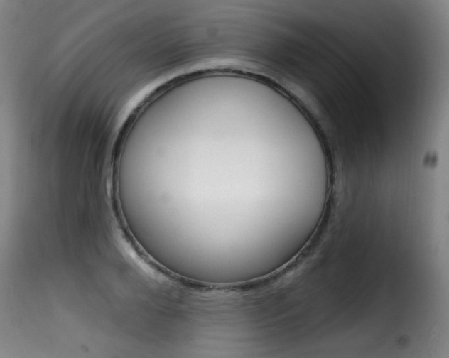X0000116010888200911191235