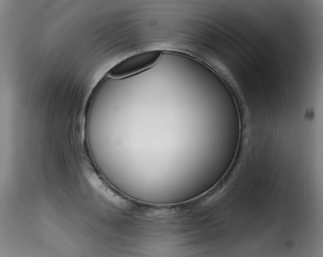 X0000116010892200911191234