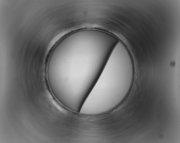 X0000116010894200911191234