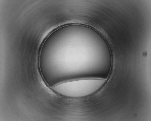 X0000116010896200911191234
