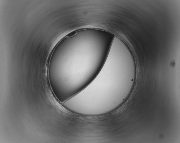 X0000116010900200911191234