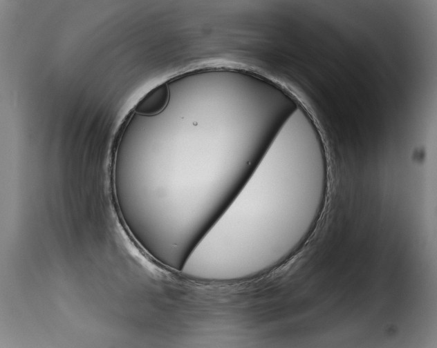X0000116010902200911191234